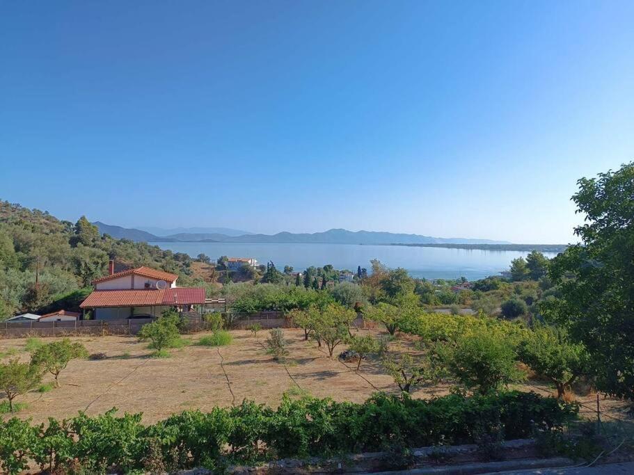 דירות נאוס פירגוס Ολόκληρος Όροφος Αγροτική Οικία מראה חיצוני תמונה